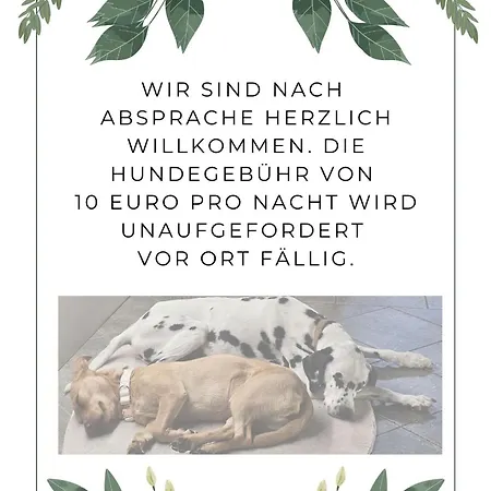 Zum Kranich Apartment Luckau